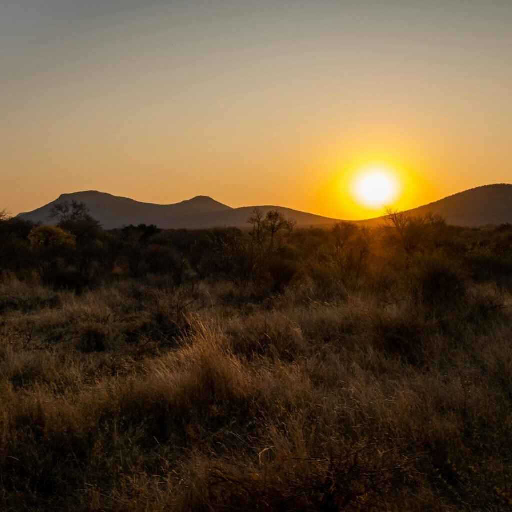 african weather