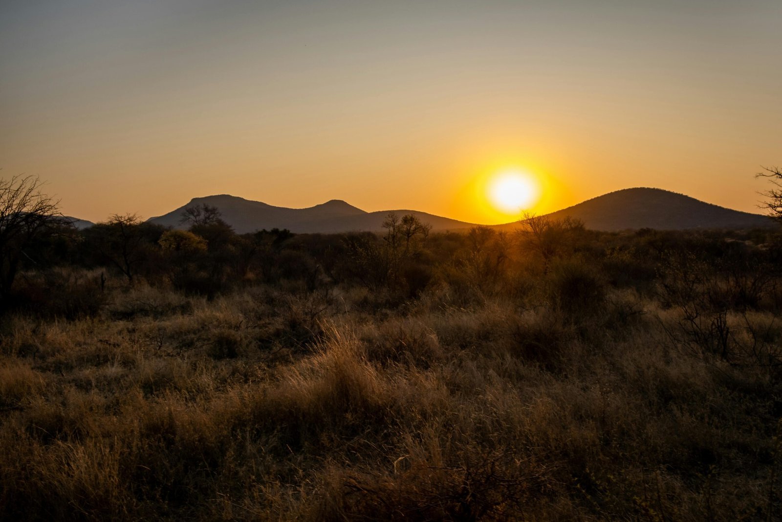 Read more about the article When should I go on a safari in Tanzania for the best experience?